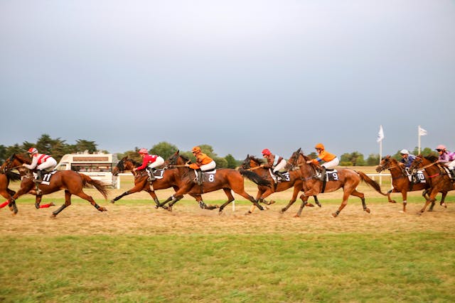Corse dei cavalli e criminalità: il business illegale che unisce mafia, territorio e social