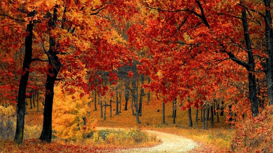 Equinozio d’autunno: significato, storia e tradizioni tra scienza e cultura