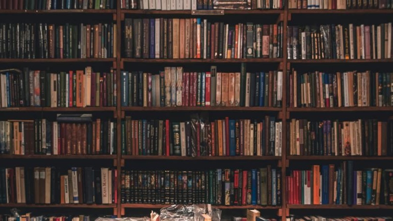 Biblioteche svizzere verso il futuro, si rinnova il dibattito su innovazione, accesso e pluralità linguistica