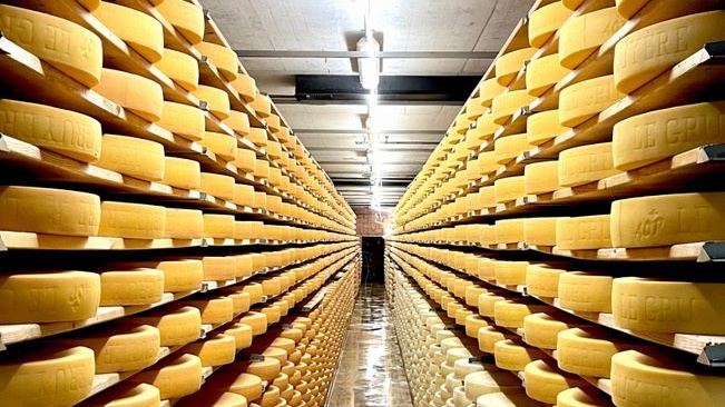 Il miglior formaggio del 2025? Un Gruyère svizzero stagionato