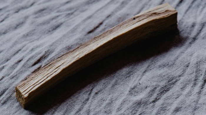 Archeologia: scoperti in Grecia i più antichi manufatti in legno, vecchi di 430.000 anni