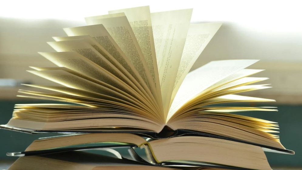 Dal BookTok alle librerie: perché lo Young Adult traina il mercato editoriale italiano