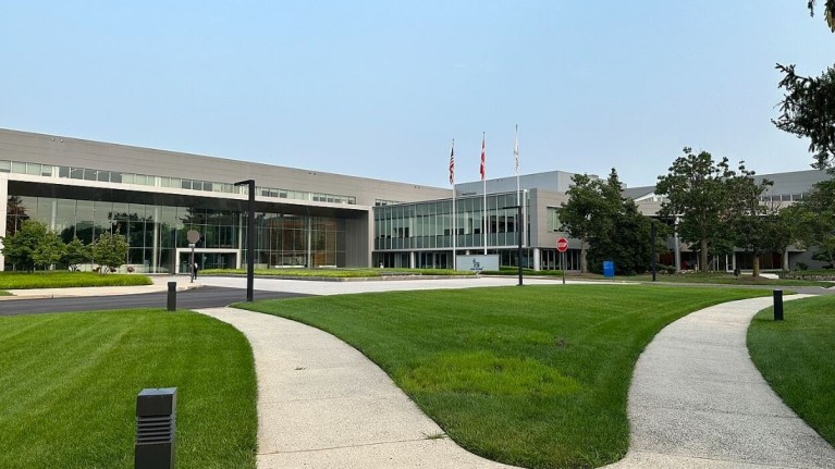 Farmaci anti-obesità: boom di vendite negli Stati Uniti della pillola Wegovy