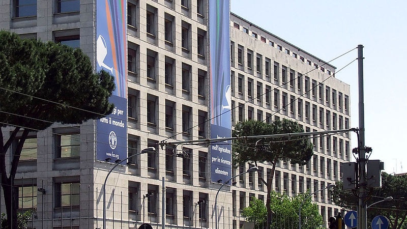 Dalla lotta alla fame alla cultura del cibo, la FAO celebra 80 anni