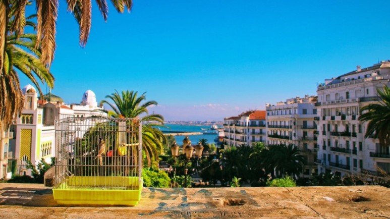 L'Algeria dichiara, per legge, la colonizzazione francese un crimine