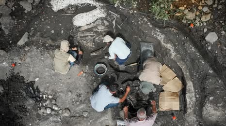 In Costa Rica scoperti resti fossili di un mastodonte e di un bradipo gigante