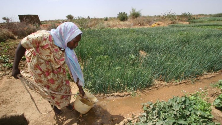 Sudan, fame e guerra senza fine, a Tawila 650mila persone sopravvivono grazie alle cucine di fortuna