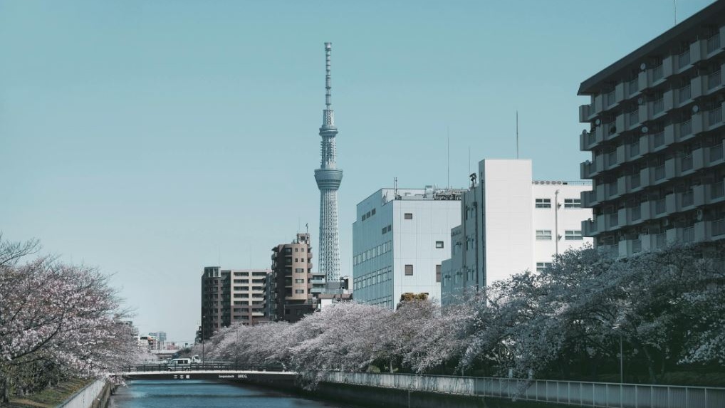Giappone, fine di un'era: perché la crisi dei bond di Tokyo è un allarme per l'economia globale