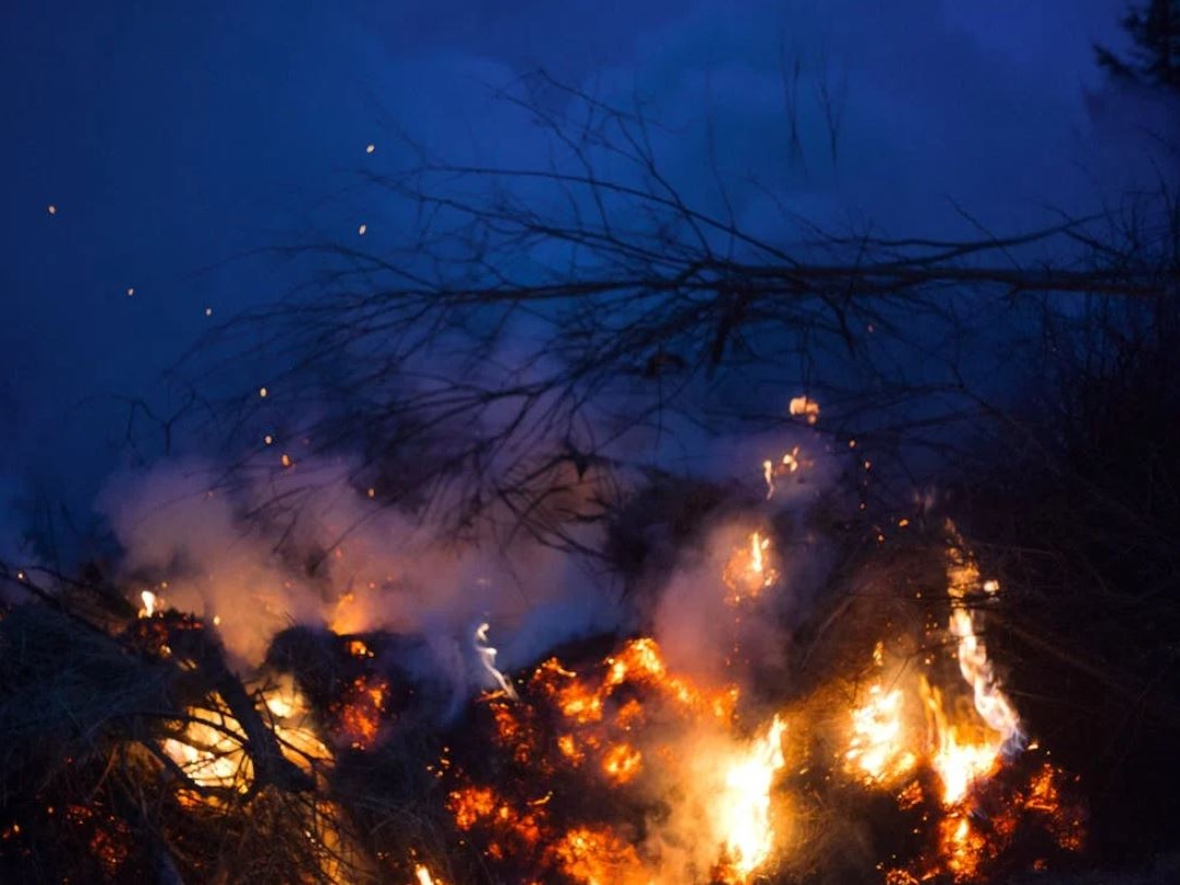 Gli incendi che hanno devastato Los Angeles sono stati causa di oltre 440 morti