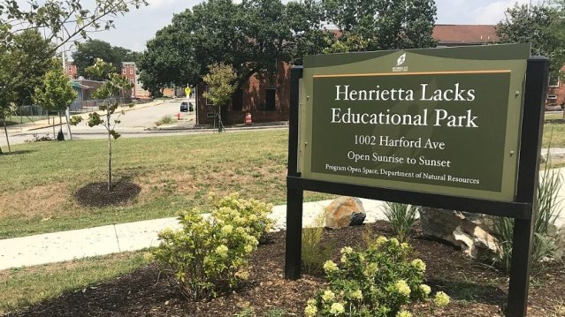 Cellule tumorali prelevate all'insaputa di una paziente nel 1951: accordo tra Novartis e gli eredi della malata