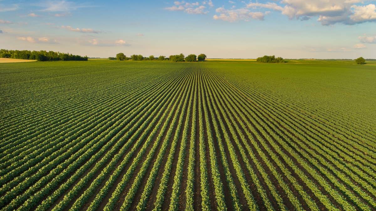 L'agricoltura biologica resta al centro dell'attenzione dell'Ue