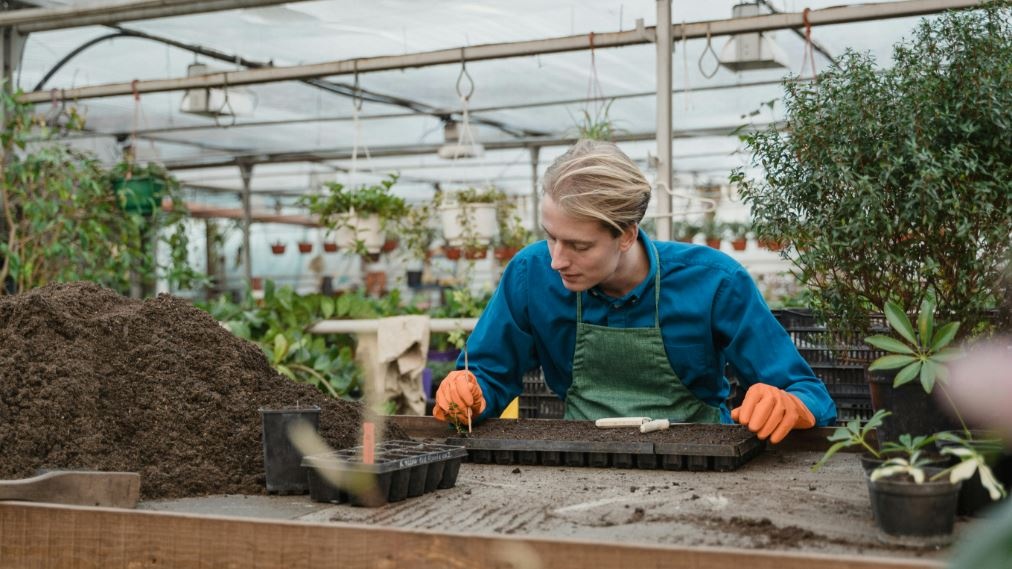 Il futuro del cibo sostenibile