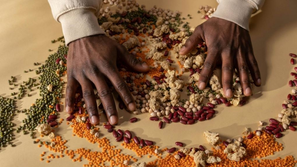 Verso sistemi alimentari sostenibili