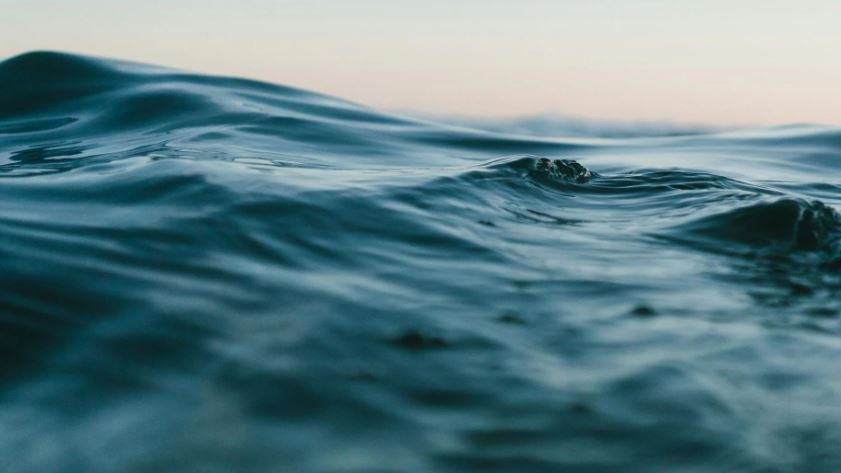 Una nuova Venezia sul Pacifico: la sfida delle città galleggianti