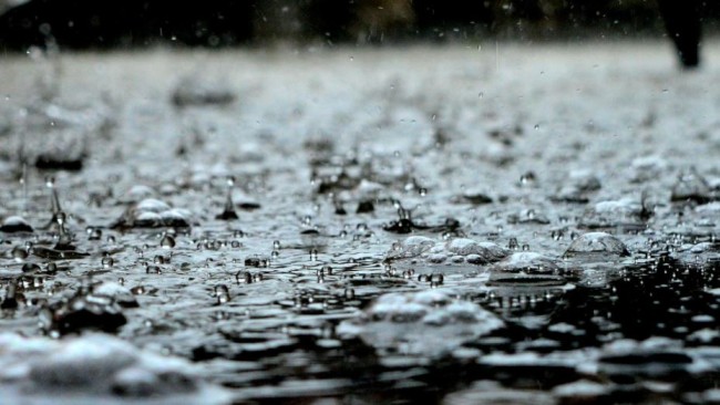 Il sistema alimentare globale aumenta il tasso di obesità, ma anche accelera i cambiamenti climatici