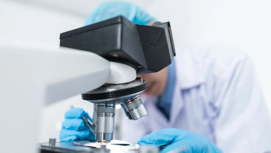 Microscopia integrata svela la dinamica delle cellule tumorali