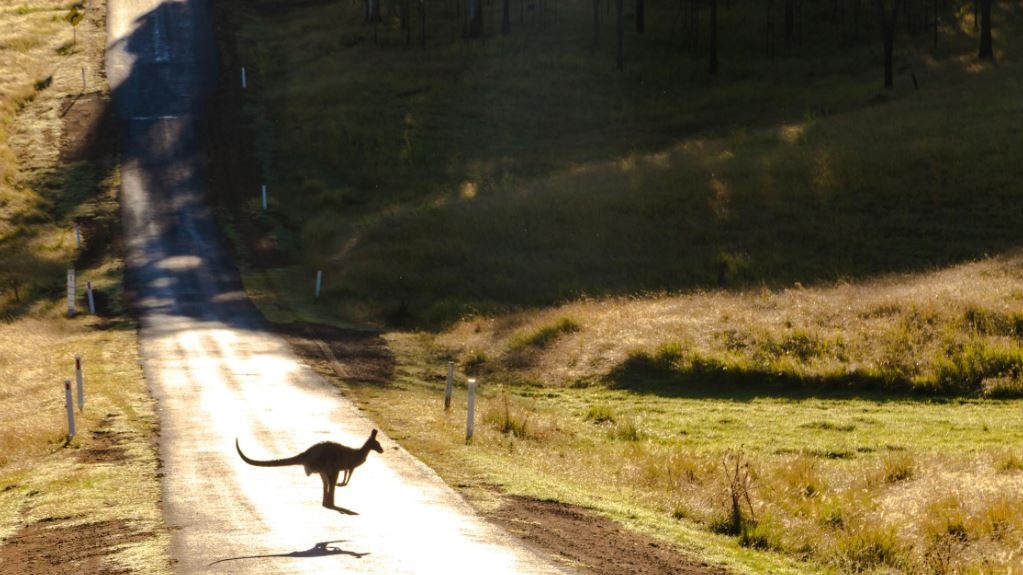 Oltre 300 euro all'anno per assistere 550 pazienti: fare il medico nella sterminata Australia rurale