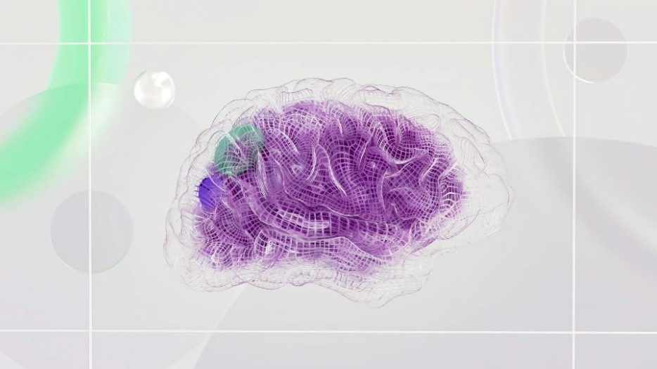 L'ex giocatore di football della strage a Manhattan soffriva veramente di encefalopatia traumatica cronica