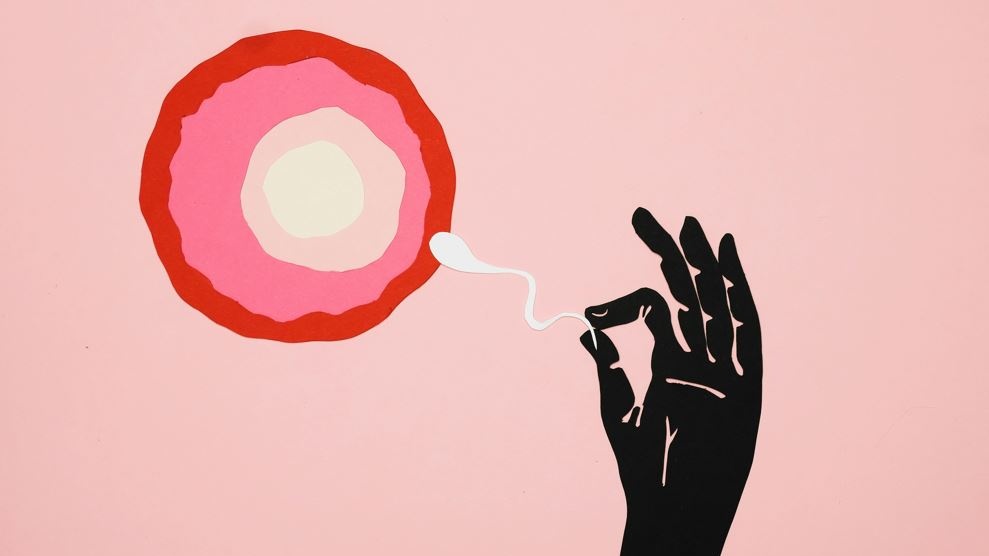 Infertilità maschile: il parassita Toxoplasma si aggiunge, come causa, a obesità, tossine e cattiva alimentazione