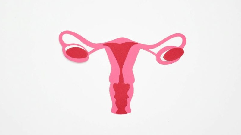 Una tecnica chirurgica ridà una speranza di maternità alle donne con endometriosi