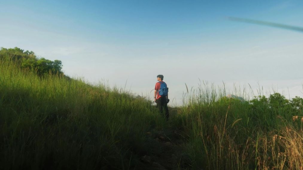 Stili di vita: si scrive 'foraggiamento', si legge ritorno a quello che ci offre la natura