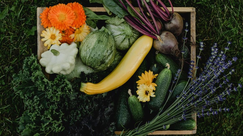 Orti urbani: perché coltivare in città è diventato di moda