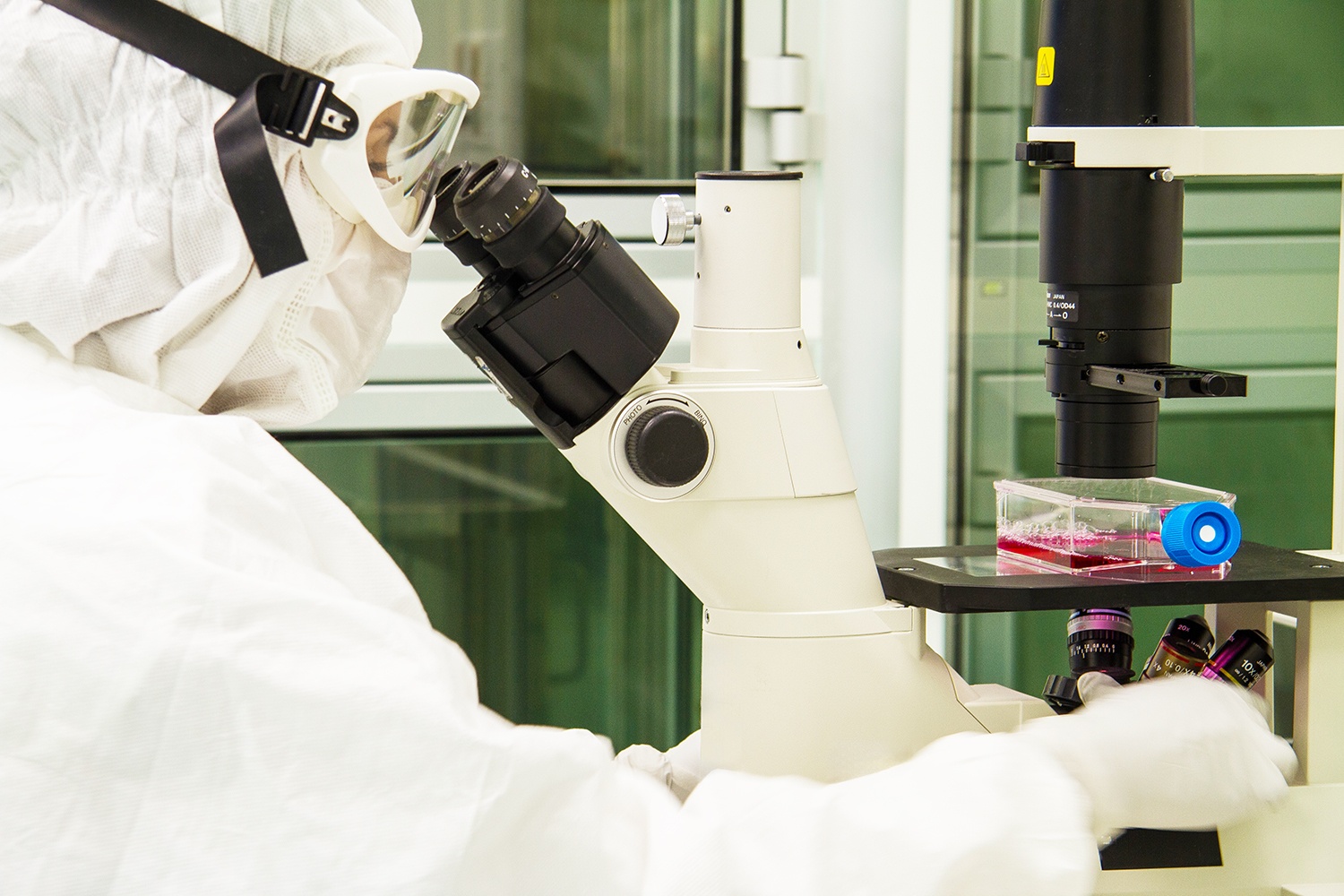 Neuroblastoma, confermata efficacia della terapia CAR-T del Bambino Gesù: lo studio su Nature Medicine