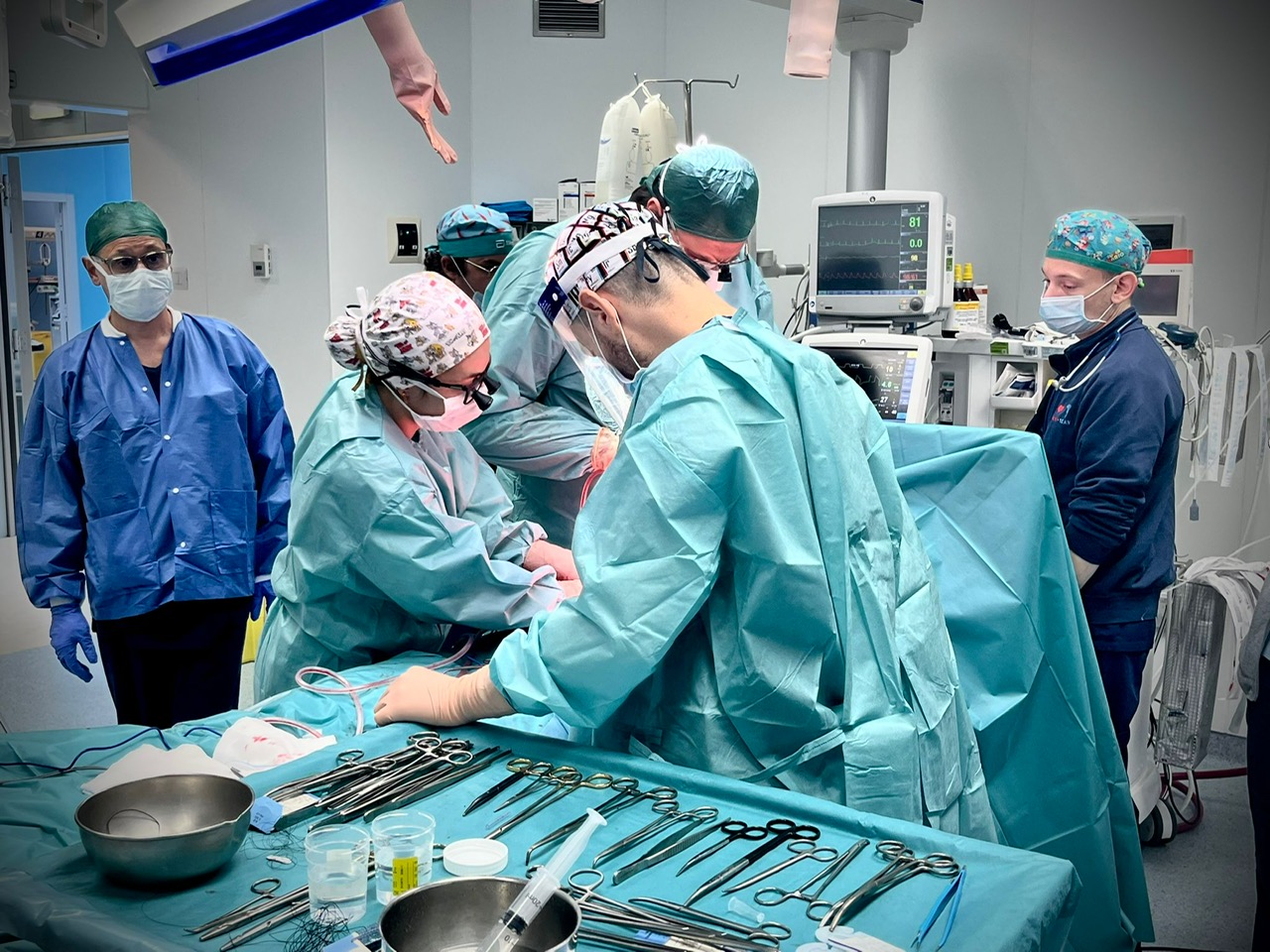 Tre gesti che valgono una vita: il miracolo silenzioso della donazione d’organi