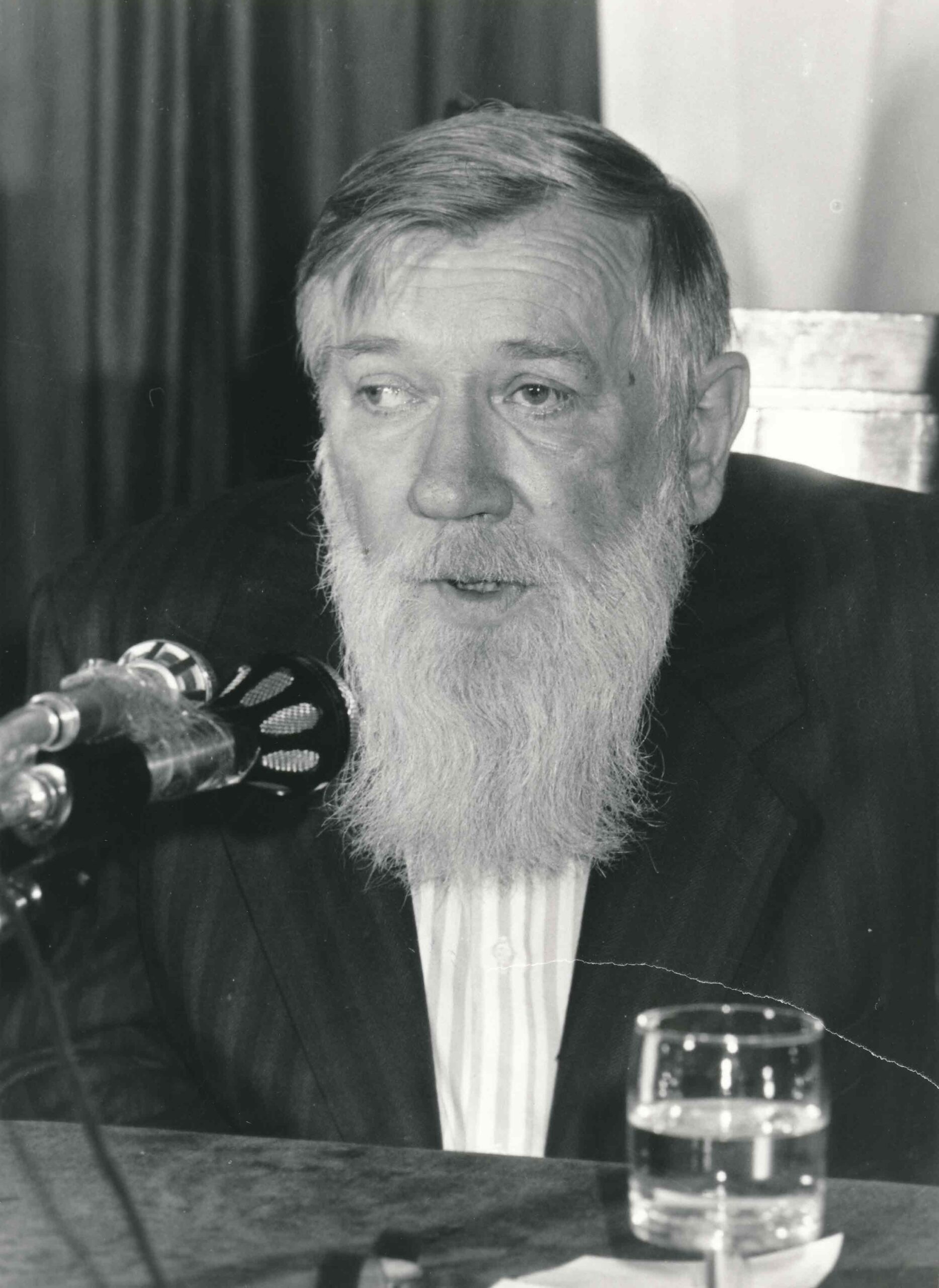 TRA RUSSIA E UNIONE SOVIETICA