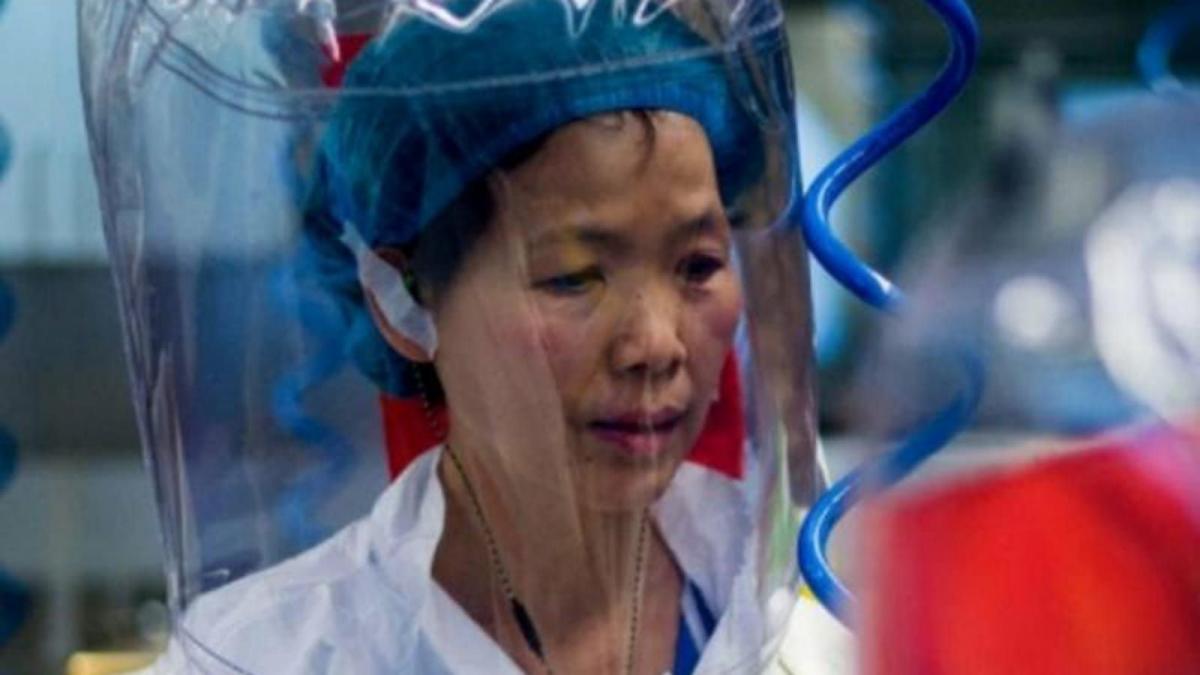 Quer pasticciaccio brutto di Wuhan.