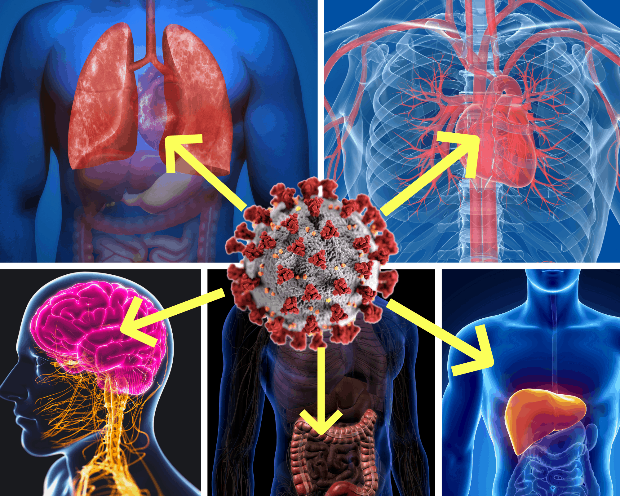 Pneumologia e Covid-19