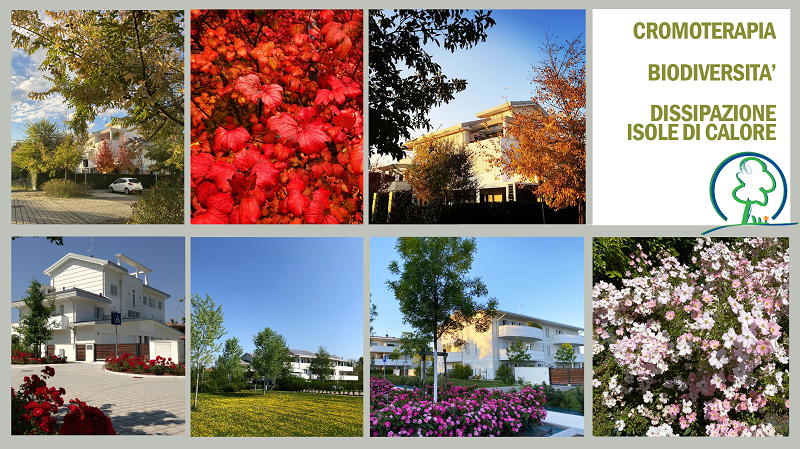 Ecovillaggio Montale: il Censimento “verde” dell' ecoquartiere in provincia di Modena