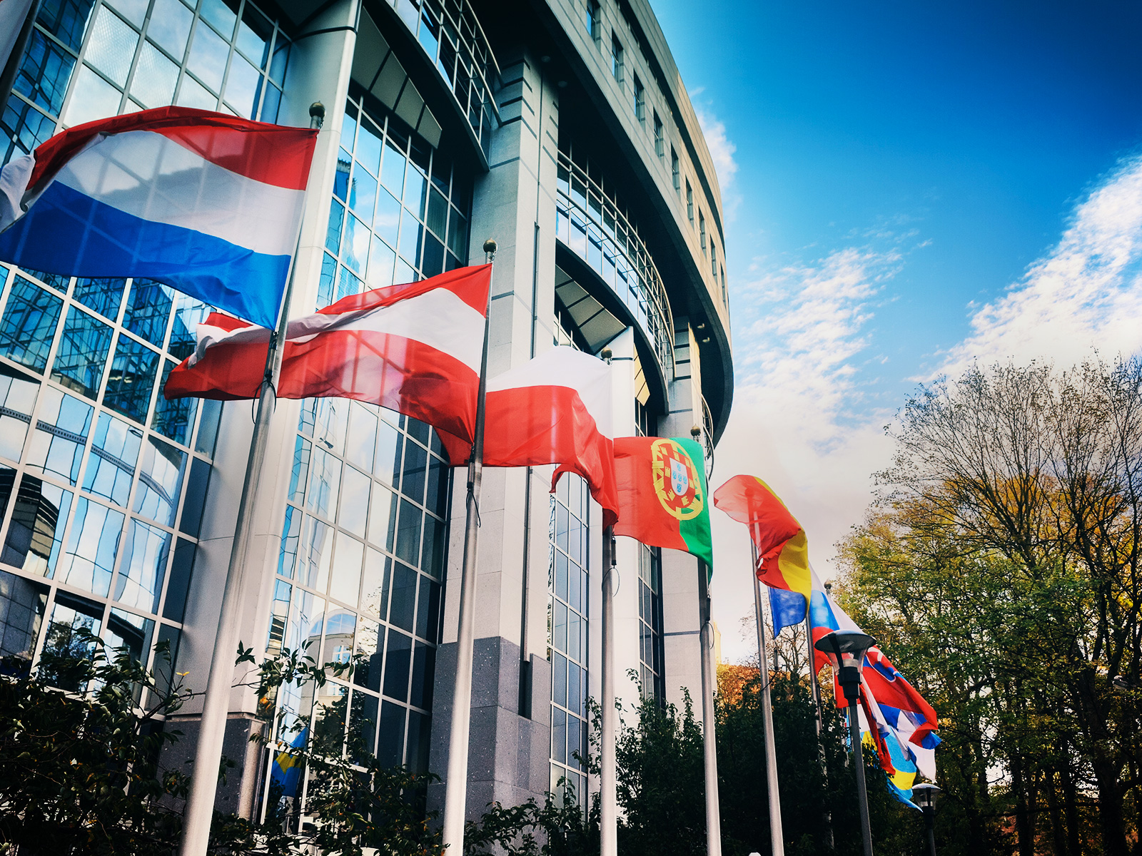 LA BUROCRAZIA UE METTE IN PERICOLO 4500 IMPRESE E 110MILA ADDETTI