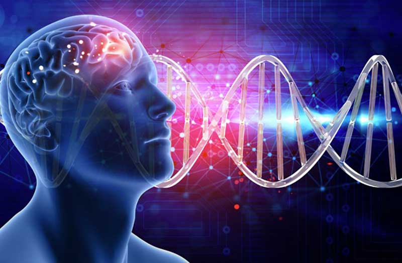 ECCO COME NASCE LA SLA