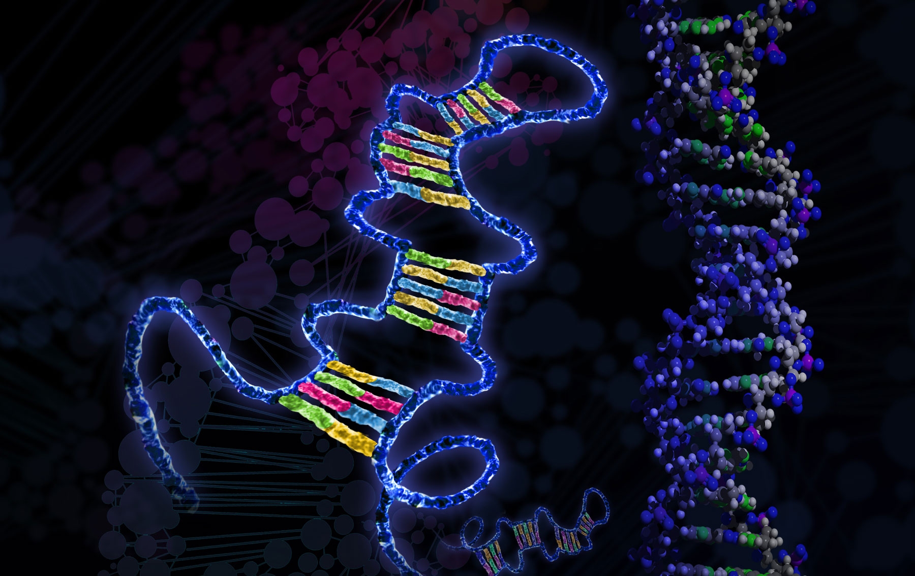MELANOMA: UNO STUDIO PER LA DIAGNOSI PRECOCE DEL PIÙ FREQUENTE TUMORE MALIGNO DELLA PELLE