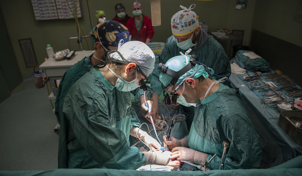 ACIDEMIA METILMALONICA: IL TRAPIANTO COMBINATO È LA TERAPIA PIÙ EFFICACE