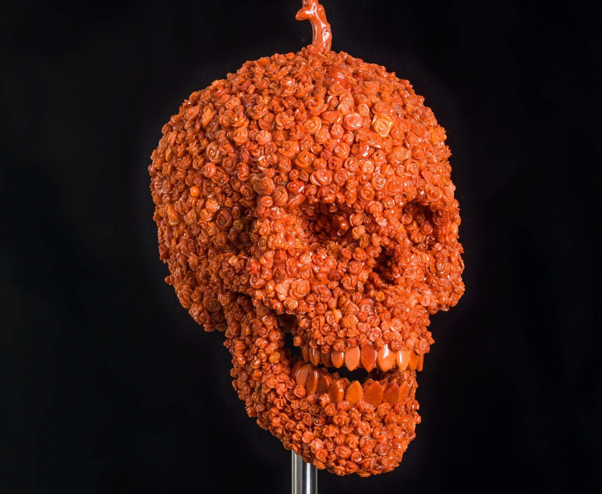 SCULTURE DI CORALLO E DISEGNI DI SANGUE.  L’ESISTENZA ATTRAVERSO LE OPERE DI JAN FABRE