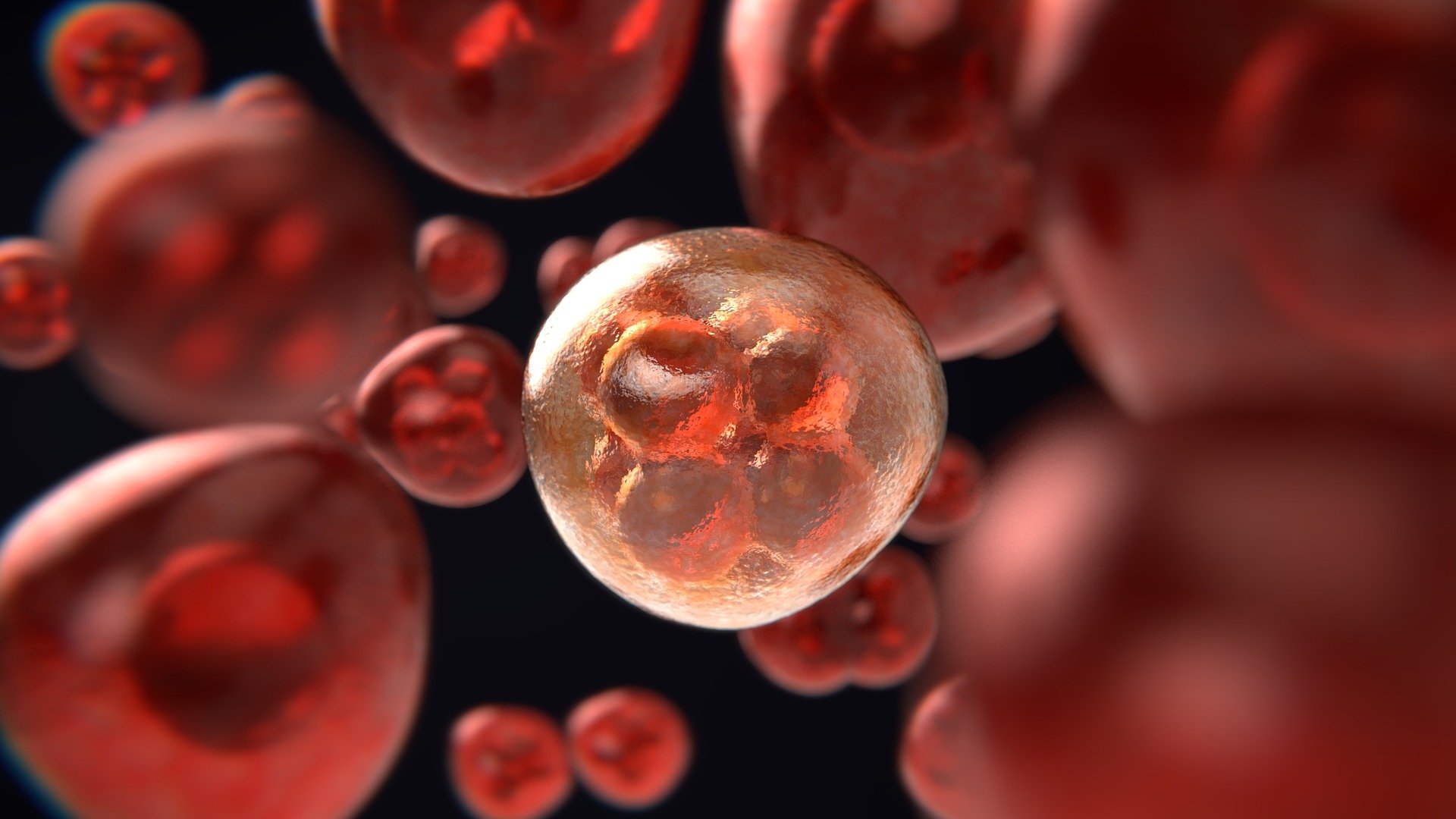 LEUCEMIA MIELOIDE: LA NUOVA TERAPIA SPERIMENTALE
