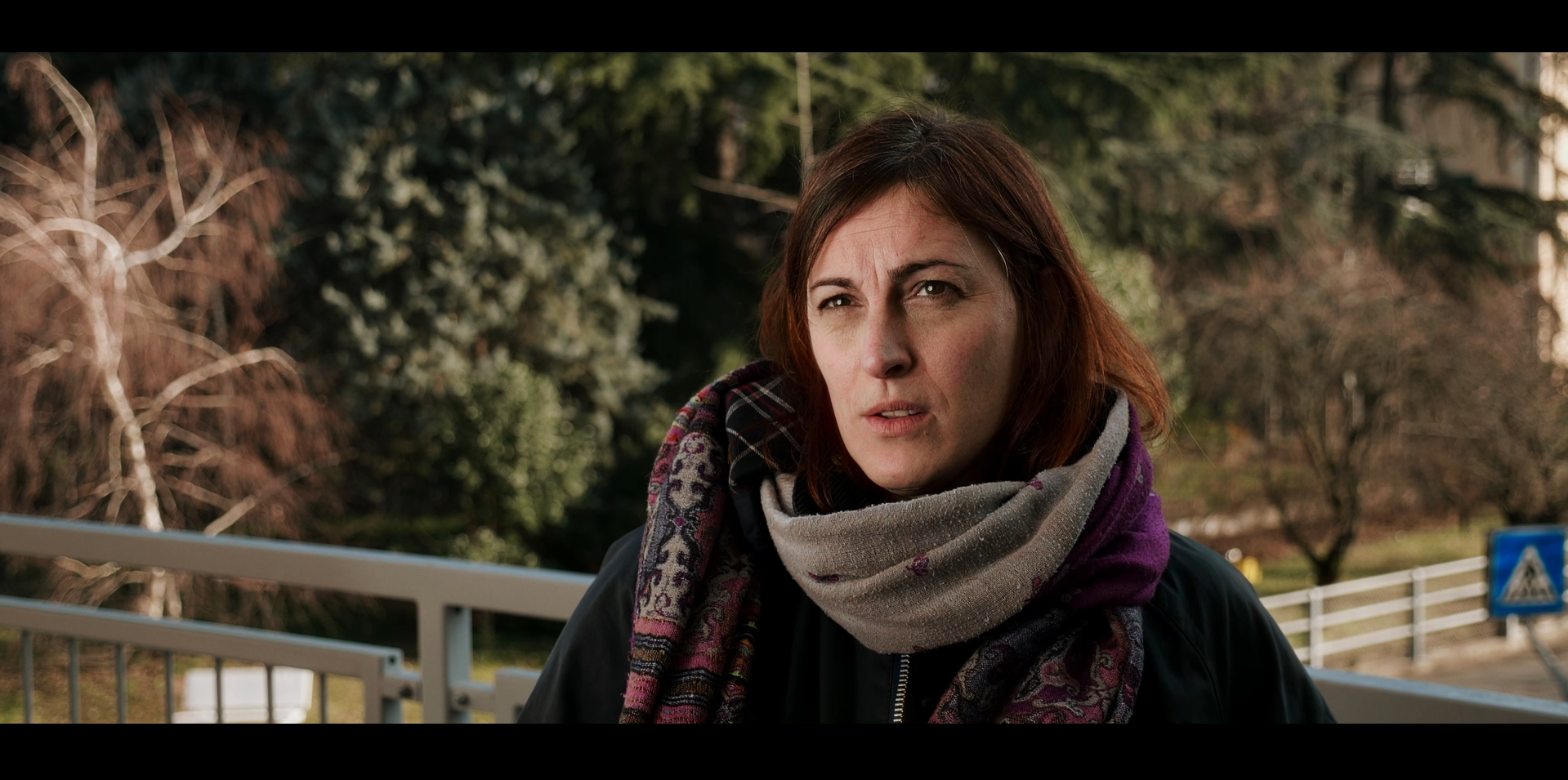 AD MAIORA: IL POTERE DELLA PET THERAPY