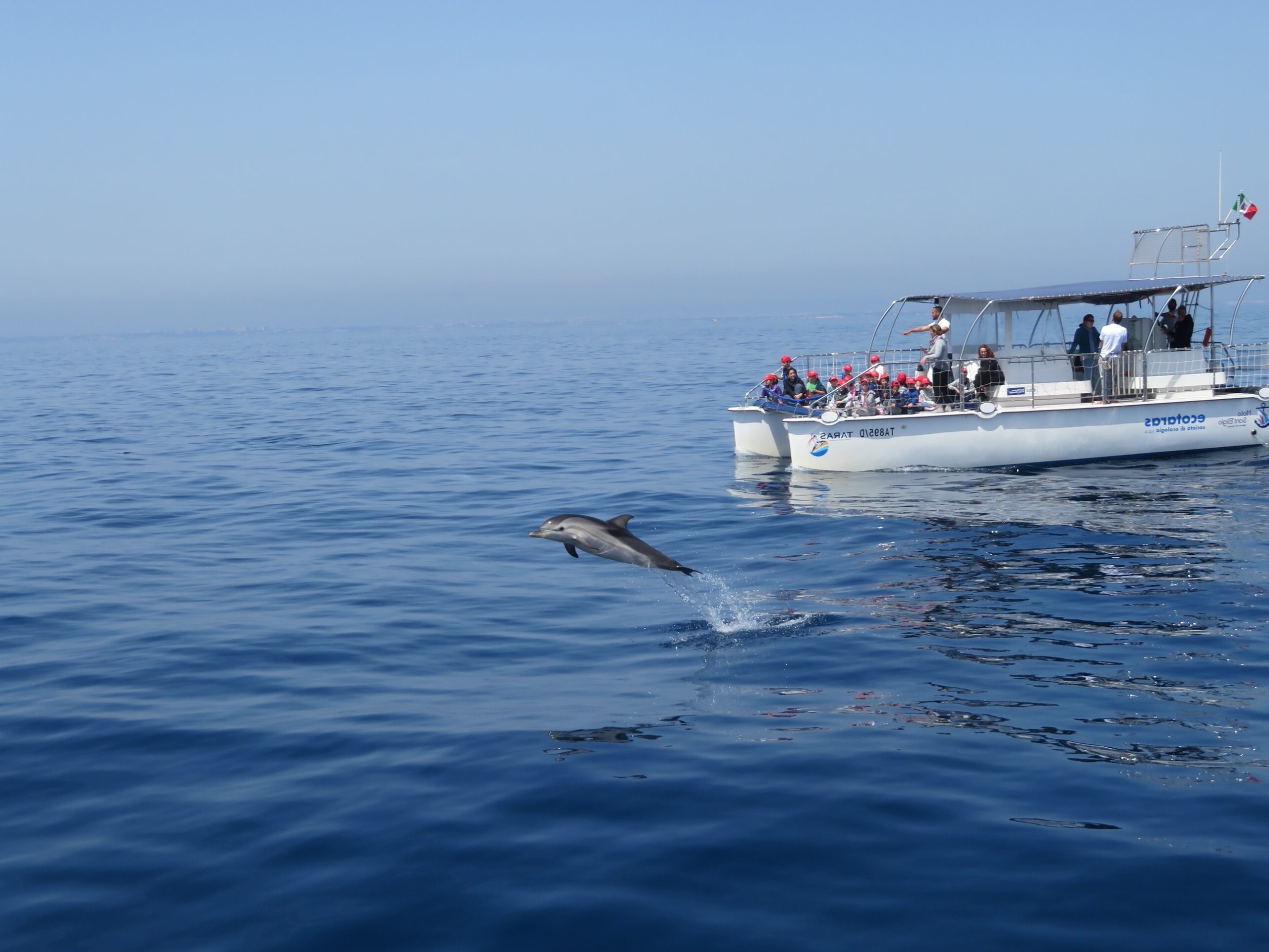 STUDIARE I CETACEI CON L'INTELLIGENZA ARTIFICIALE