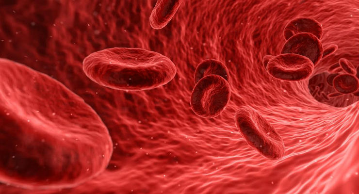 EMOFILIA: LA GIORNATA MONDIALE AL GEMELLI