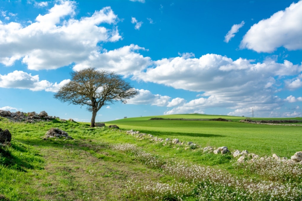 SCHNEIDER PRESENTA LA “SUSTAINABILITY SCHOOL”