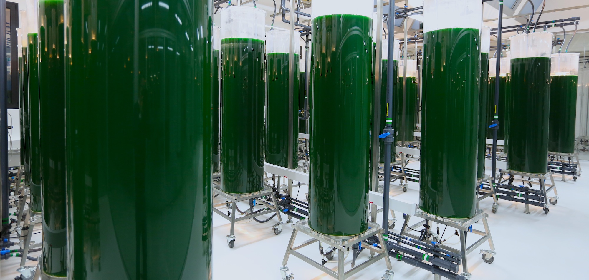 MICOPERI BLUE GROWTH: RICERCA E INNOVAZIONE A SERVIZIO DELLA SALUTE