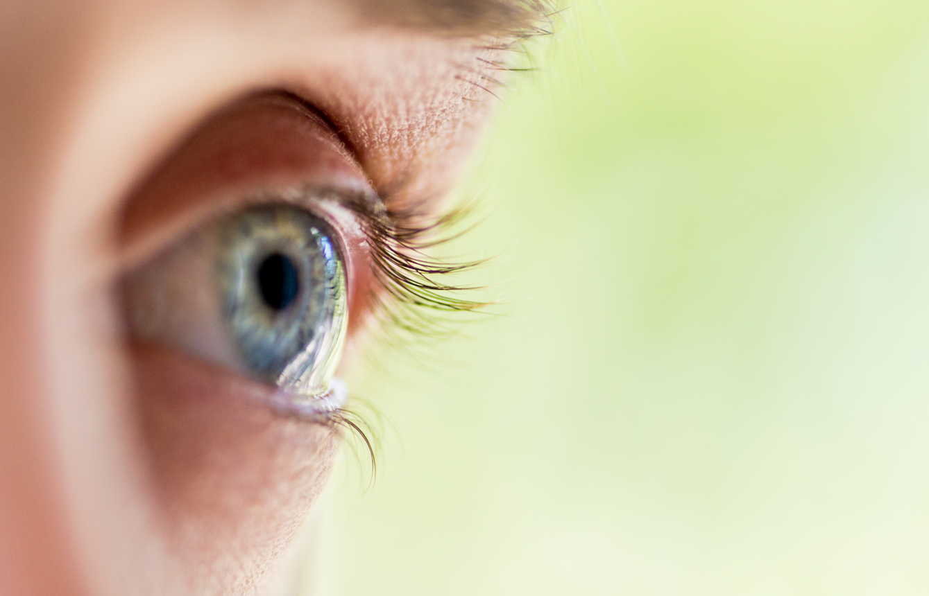 SIFI SI ESPANDE IN TURCHIA COL SUPPORTO DI SIMEST