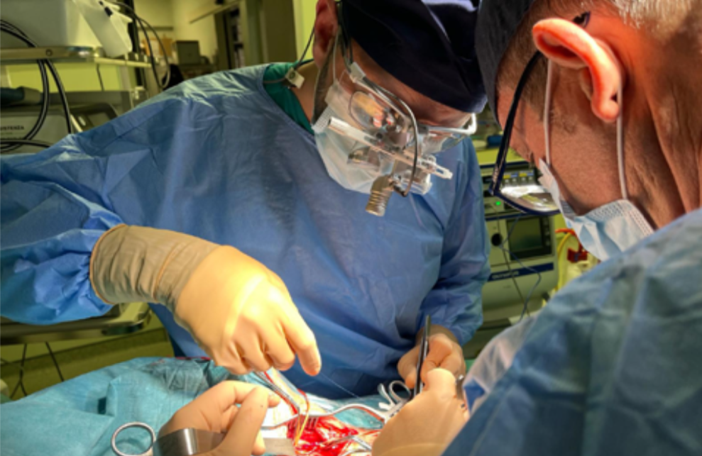 CHIRURGIA VASCOLARE, INNOVAZIONE E TECNOLOGIE. PARLA ROCCO GIUDICE