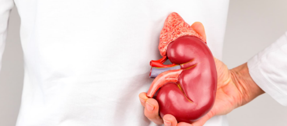 UROLOGIA, LA RIVOLUZIONE ROBOTICA