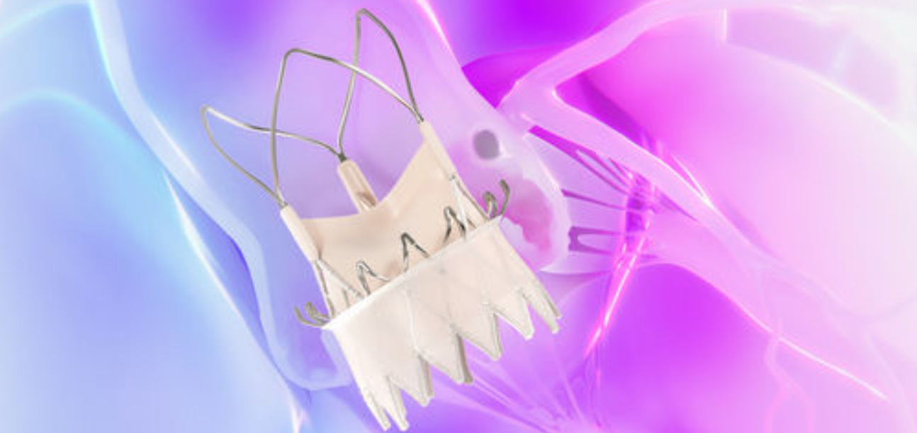 BOSTON SCIENTIFIC OTTIENE IL MARCHIO CE PER ACURATE PRIME™