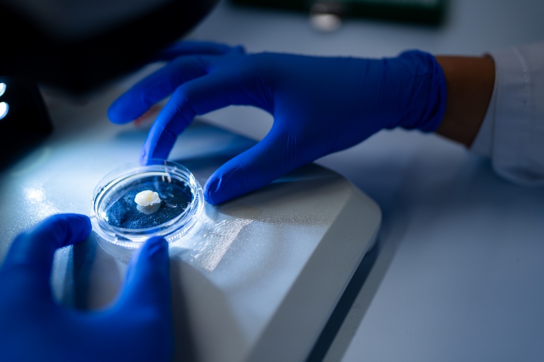 SINERGIE TRA LITUANIA E ITALIA NEL CAMPO DELLA NEUROSCIENZA MOLECOLARE E CELLULARE