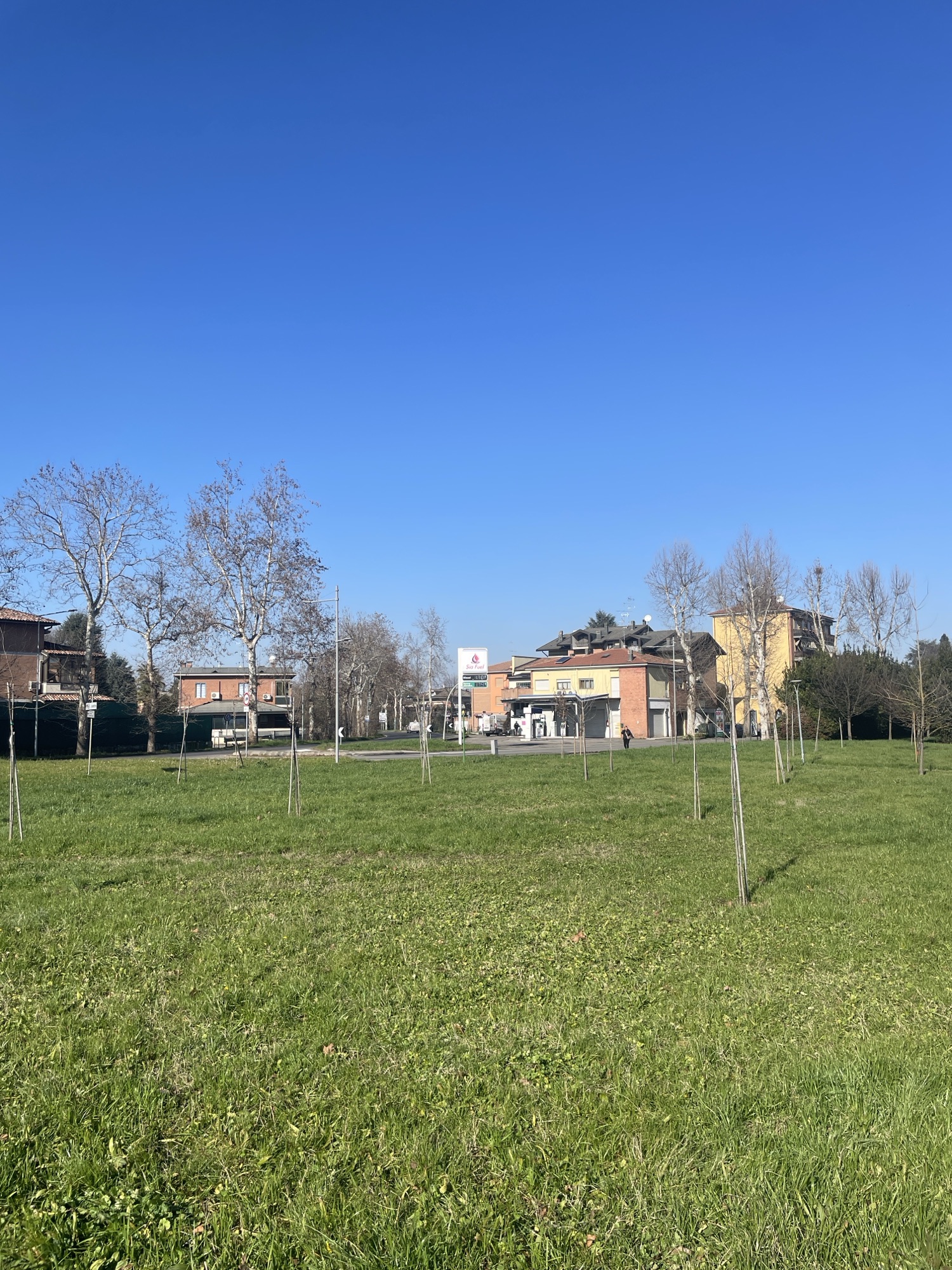 Riforestazione urbana a Spilamberto (Mo): nasce “Verde 21” la cui impronta ecologica è certificata dal&nbsp;CNR&nbsp;