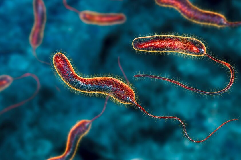 Il colera è endemico in molti Paesi a rischio per le condizioni di igiene precarie